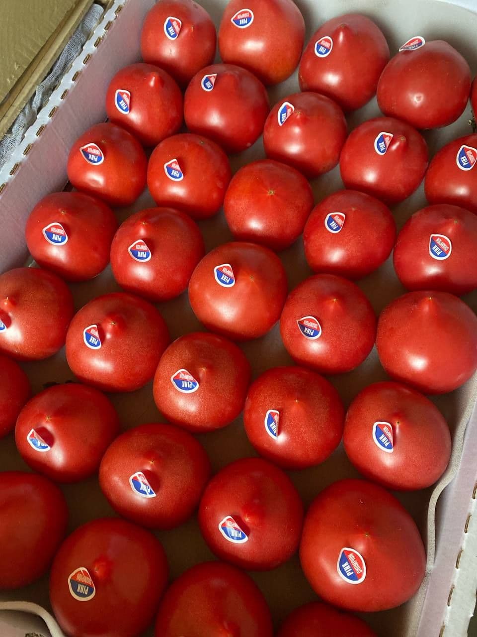 Помидоры дагестан